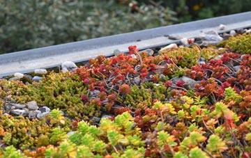 the cost of Lower Netchwood green roof installation