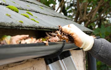 gutter cleaning Lower Netchwood, Shropshire