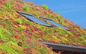 Lower Netchwood living roof systems