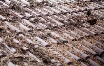 Lower Netchwood roof cleaning companies