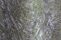 Lower Netchwood fibreglass roof work