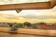 rated Lower Netchwood roof window companies